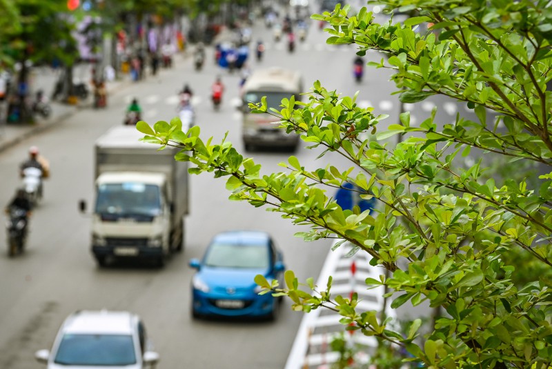 Ha Noi,  dai hoi Dang,  ngay 10/10 anh 27