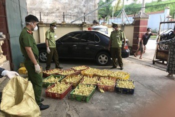 Lạng Sơn: Đẩy mạnh chống gian lận thương mại, ngăn chặn gia cầm nhập lậu