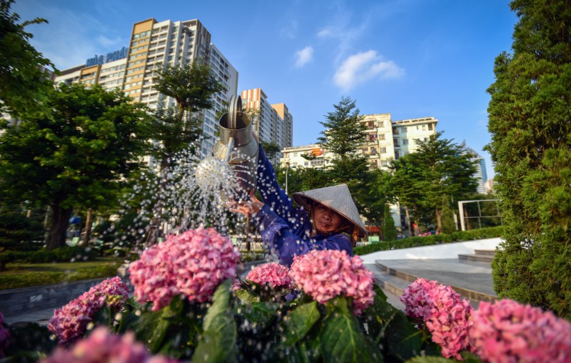 Ha Noi,  dai hoi Dang,  ngay 10/10 anh 31