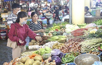 Hà Tĩnh: Giá rau xanh tăng gấp 4 lần so với ngày thường