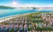 Chính sách hấp dẫn, Sun Grand City Feria hút giới thượng lưu Hạ Long