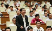 'Phân bón hữu cơ và thuốc bảo vệ sinh học có vai trò then chốt với nền nông nghiệp trong tương lai'