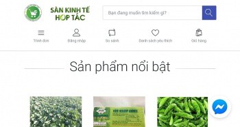 Thừa Thiên Huế: Xây dựng, phát triển các hệ thống hạ tầng thương mại điện tử