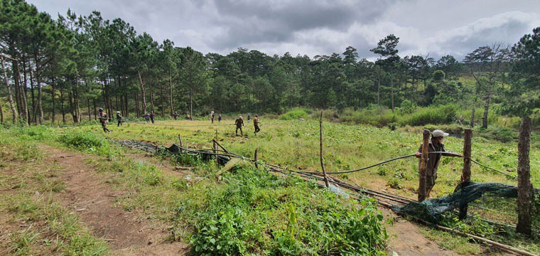 cuong che thu hoi 3600 m2 dat rung bi lan chiem tai da lat lam dong