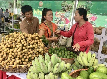 Nhãn sông Mã: Chinh phục thị trường