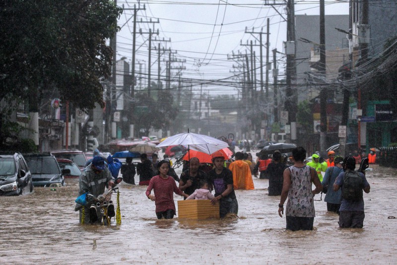 bao Vamco nhan chim thu do Philippines anh 6