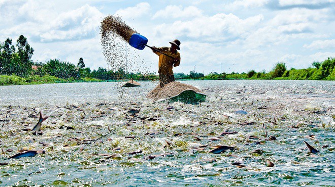 hong ngu len thanh pho anh 2