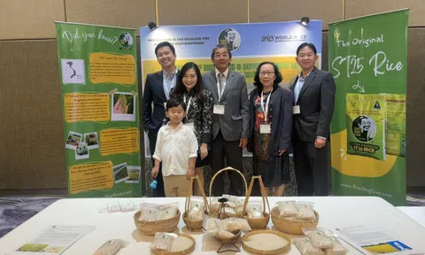 Gạo ST25 lại đoạt giải gạo ngon nhất thế giới năm 2023