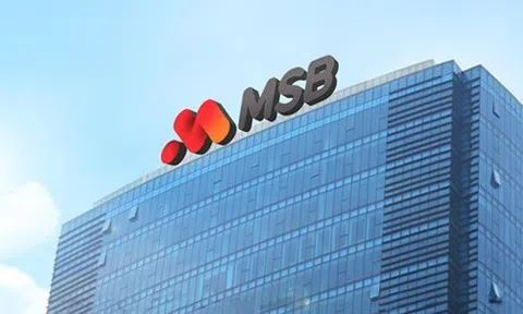 11 cổ đông nắm giữ 35% vốn MSB
