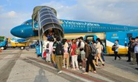 Vietnam Airlines Group mở bán 1,5 triệu vé máy bay dịp Tết Nguyên đán 2025