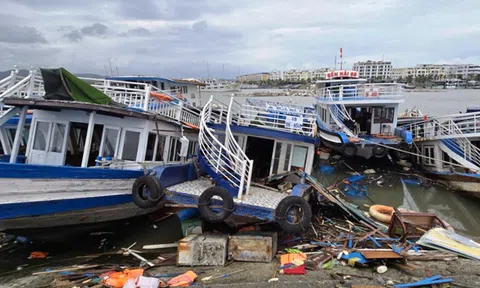 Nhiều ngân hàng “tiếp sức” cho doanh nghiệp Quảng Ninh sau siêu bão