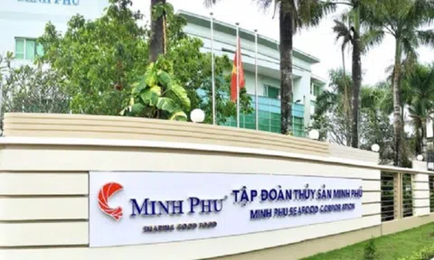 Thủy sản Minh Phú: Gia đình ông Lê Văn Quang nhận lương cao nhất Ban Tổng Giám đốc