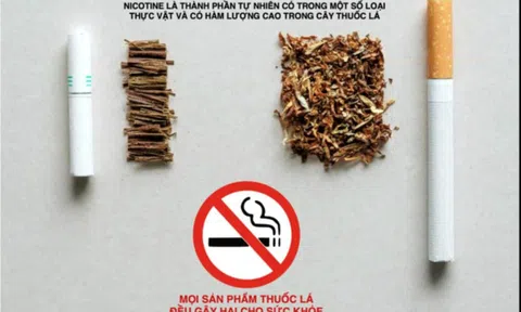 Kiểm soát các sản phẩm có chứa nicotine để bảo vệ giới trẻ