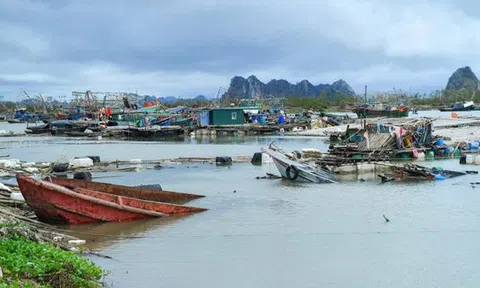 Quảng Ninh khôi phục nuôi trồng thủy hải sản sau siêu bão