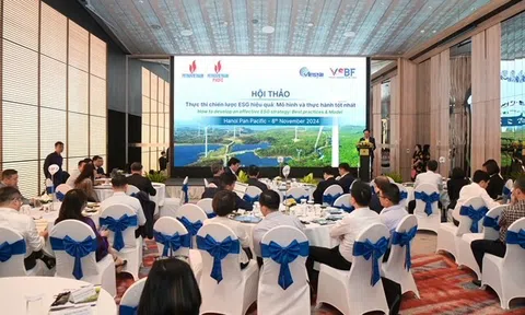 Petrovietnam: Thực thi chiến lược ESG hiệu quả, hướng đến phát triển bền vững