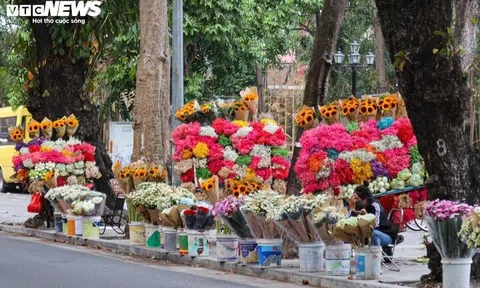 Sát ngày 20/11, hoa tươi tăng giá mạnh