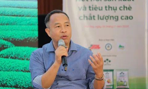 CEO Trà Cozy: Cây chè không còn là cây xóa đói giảm nghèo