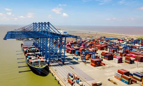 'Ông trùm' vận tải biển Việt Nam muốn xây trung tâm logistics tại Ấn Độ