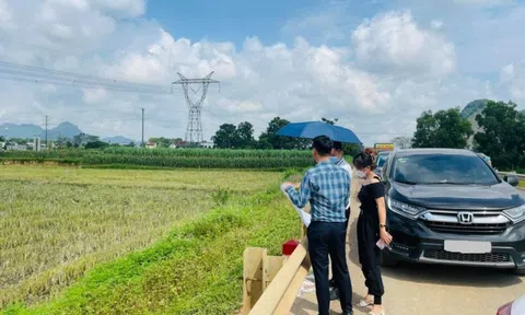 Tâm sự của nhà đầu tư bất động sản: “Tôi đầu tư ở đâu, lỗ ở đó”